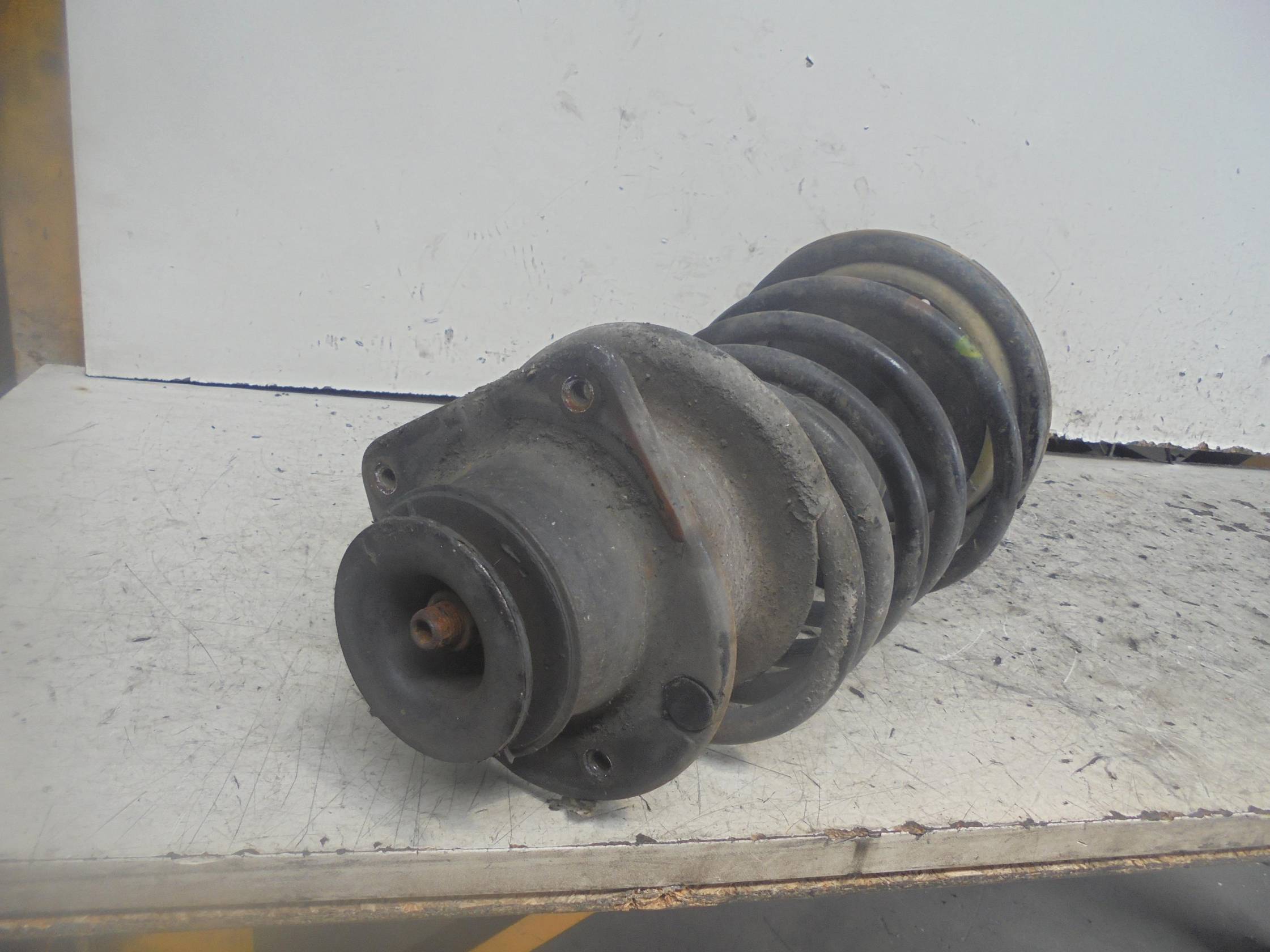 Ammortizzatore ant. sx.